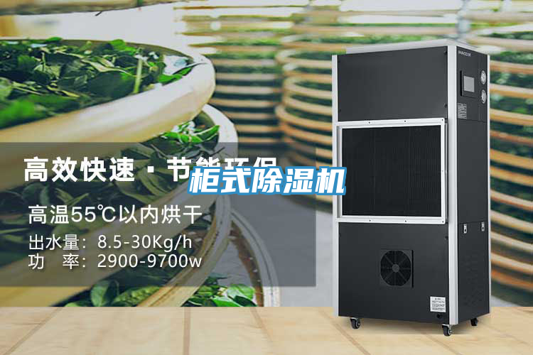 柜式MR.好色破解版
