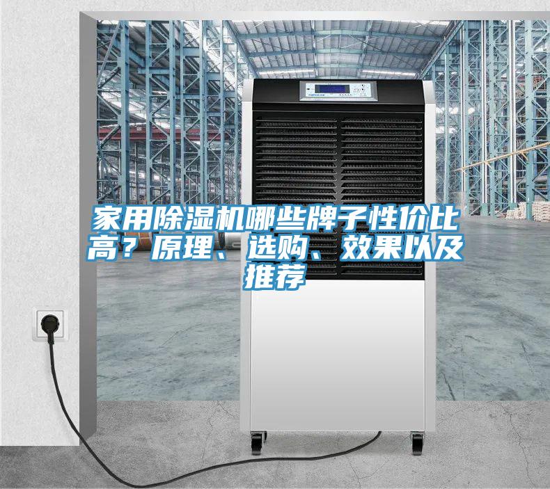 家用MR.好色破解版哪些牌子性价比高？原理、选购、效果以及推荐