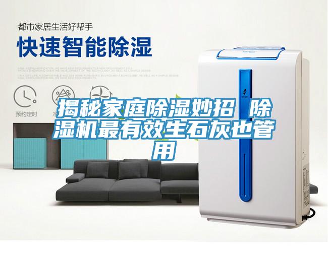 揭秘家庭除湿妙招 MR.好色破解版最有效生石灰也管用