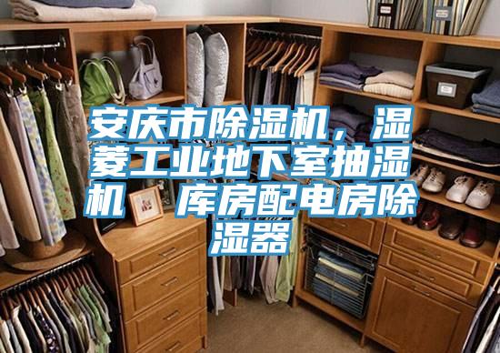 安庆市MR.好色破解版，湿菱工业地下室抽湿机  库房配电房除湿器