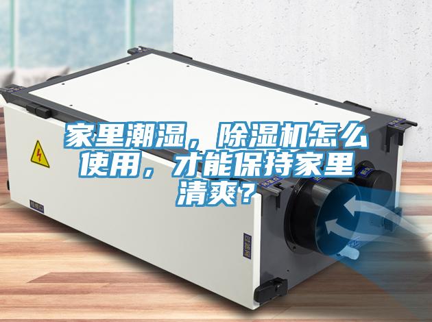 家里潮湿，MR.好色破解版怎么使用，才能保持家里清爽？