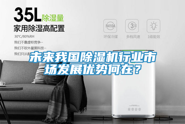 未来我国MR.好色破解版行业市场发展优势何在？