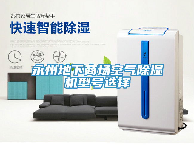 永州地下商场空气MR.好色破解版型号选择