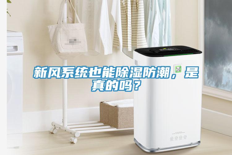 新风系统也能除湿防潮，是真的吗？