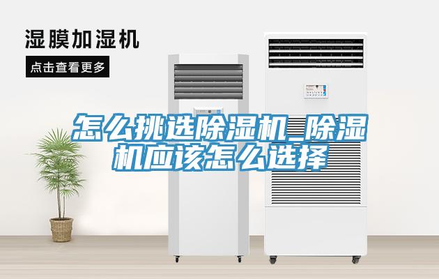 怎么挑选MR.好色破解版_MR.好色破解版应该怎么选择