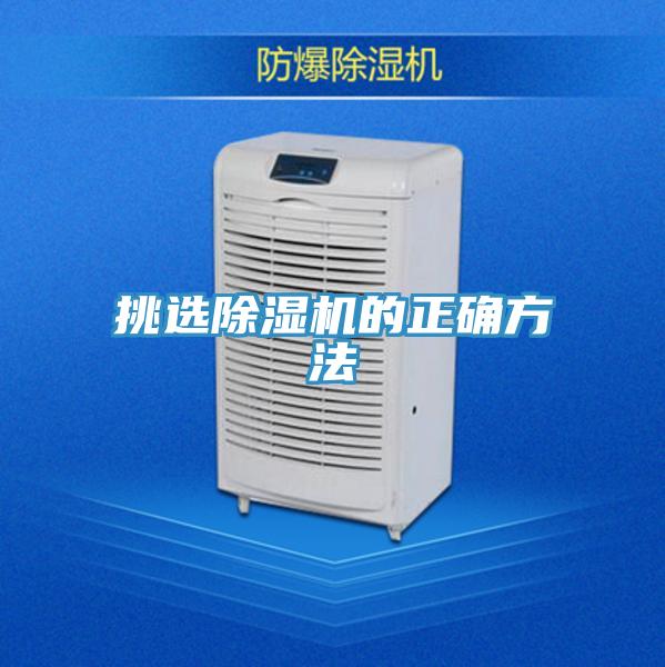 挑选MR.好色破解版的正确方法
