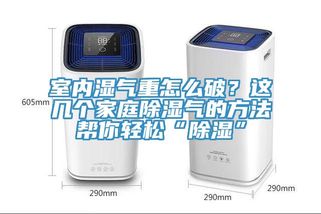 室内湿气重怎么破？这几个家庭除湿气的方法帮你轻松“除湿”