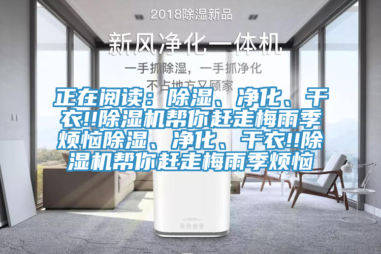 正在阅读：除湿、净化、干衣!!MR.好色破解版帮你赶走梅雨季烦恼除湿、净化、干衣!!MR.好色破解版帮你赶走梅雨季烦恼