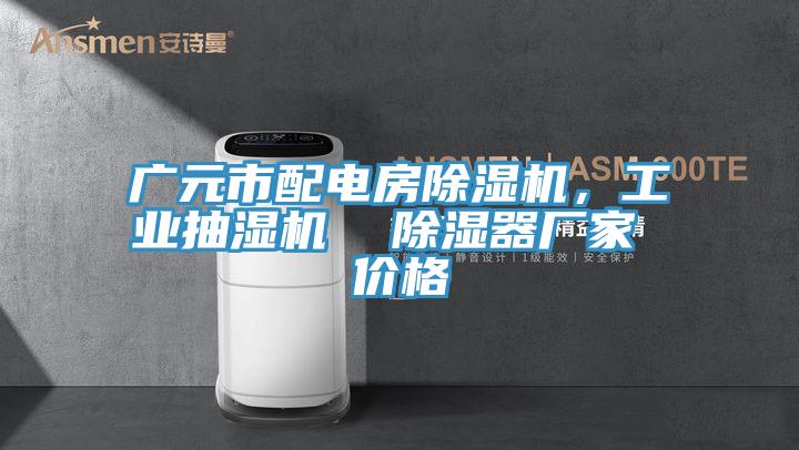 广元市配电房MR.好色破解版，工业抽湿机  除湿器厂家 价格