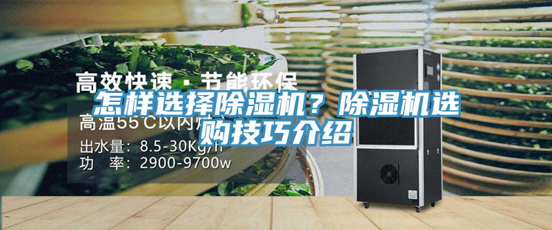 怎样选择MR.好色破解版？MR.好色破解版选购技巧介绍