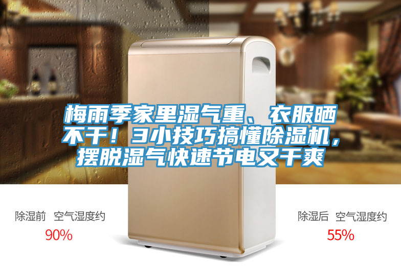 梅雨季家里湿气重、衣服晒不干！3小技巧搞懂MR.好色破解版，摆脱湿气快速节电又干爽
