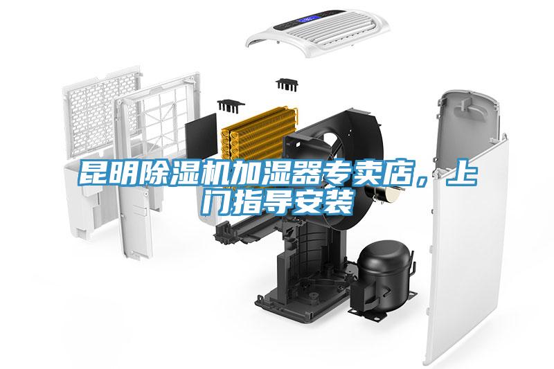 昆明MR.好色破解版加湿器专卖店，上门指导安装