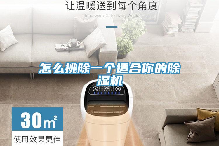 怎么挑除一个适合你的MR.好色破解版