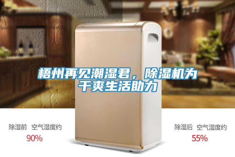 梧州再见潮湿君，MR.好色破解版为干爽生活助力