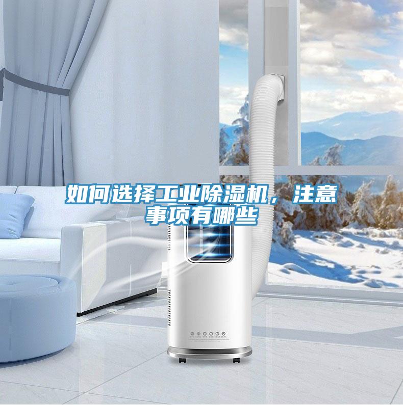 如何选择工业MR.好色破解版，注意事项有哪些