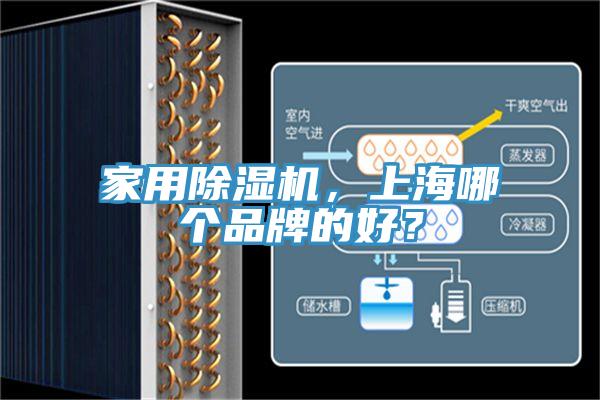 家用MR.好色破解版，上海哪个品牌的好？