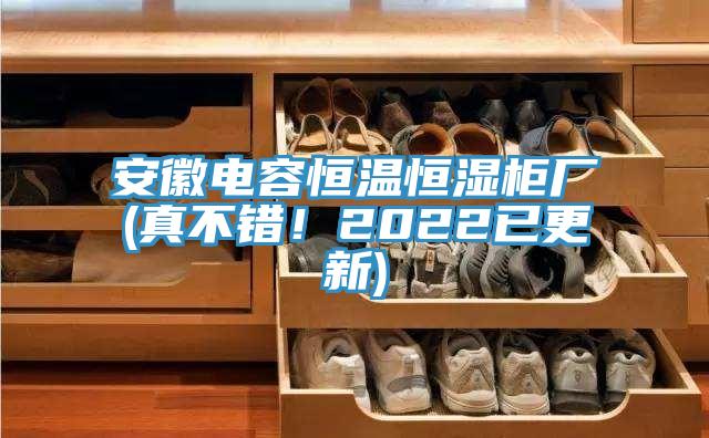 安徽电容恒温恒湿柜厂(真不错！2022已更新)