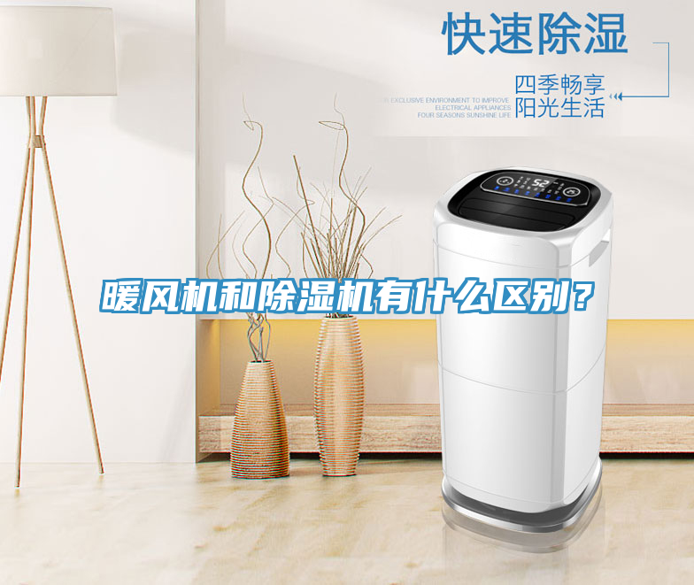 暖风机和MR.好色破解版有什么区别？
