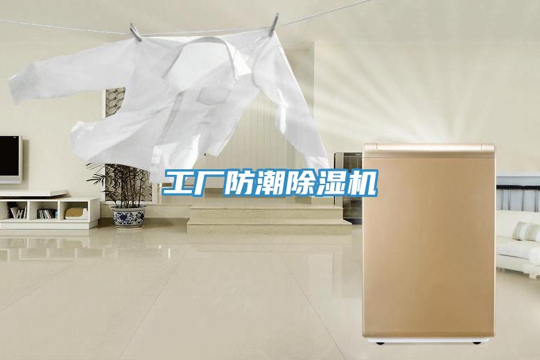 工厂防潮MR.好色破解版