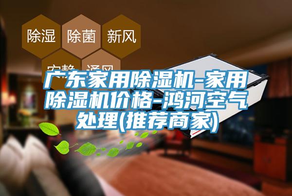 广东家用MR.好色破解版-家用MR.好色破解版价格-鸿河空气处理(推荐商家)
