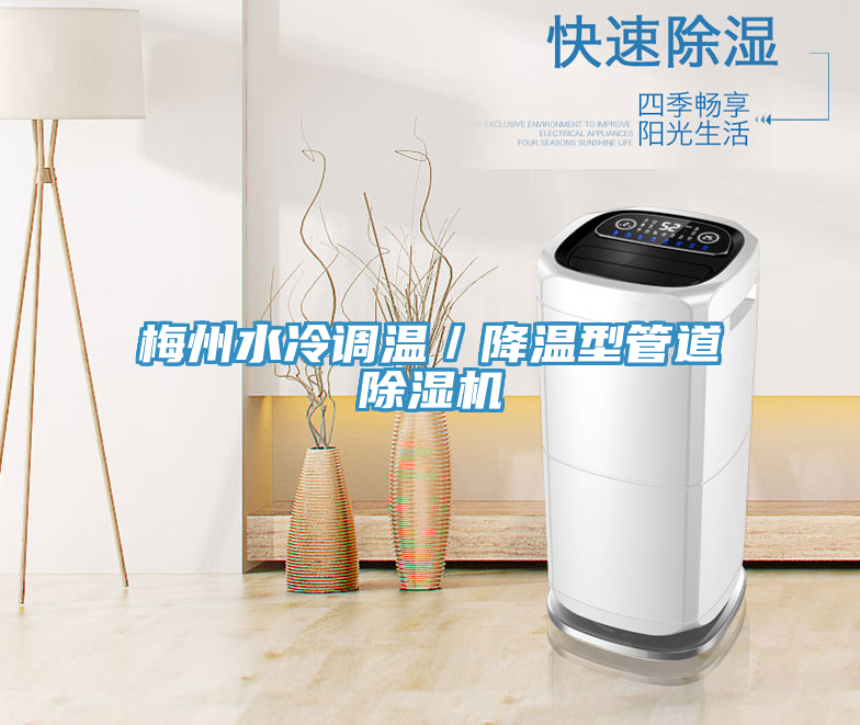 梅州水冷调温／降温型管道MR.好色破解版