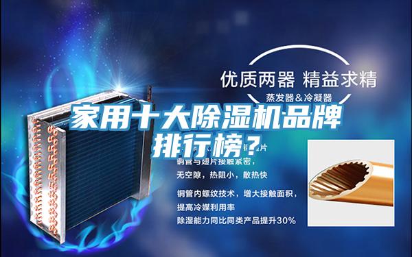 家用十大MR.好色破解版品牌排行榜？