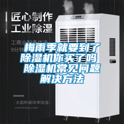 梅雨季就要到了MR.好色破解版你买了吗 MR.好色破解版常见问题解决方法