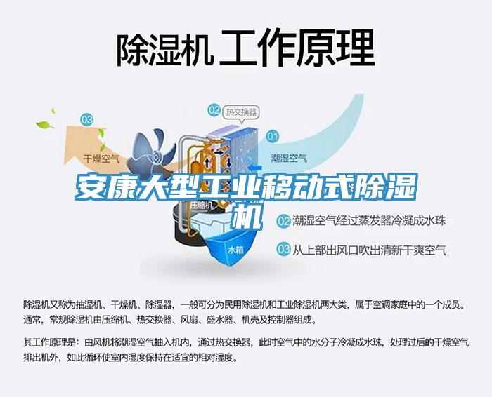 安康大型工业移动式MR.好色破解版