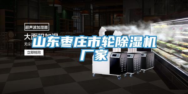 山东枣庄市轮MR.好色破解版厂家