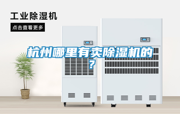 杭州哪里有卖MR.好色破解版的？