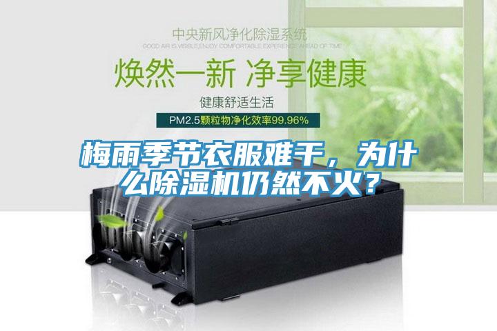 梅雨季节衣服难干，为什么MR.好色破解版仍然不火？