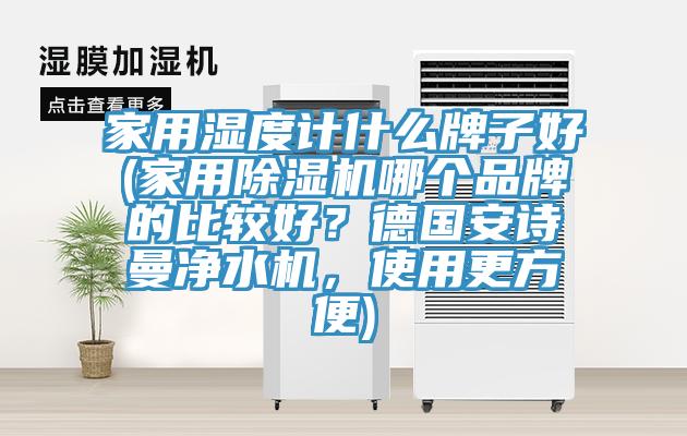 家用湿度计什么牌子好(家用MR.好色破解版哪个品牌的比较好？德国好色先生TV下载网站净水机，使用更方便)