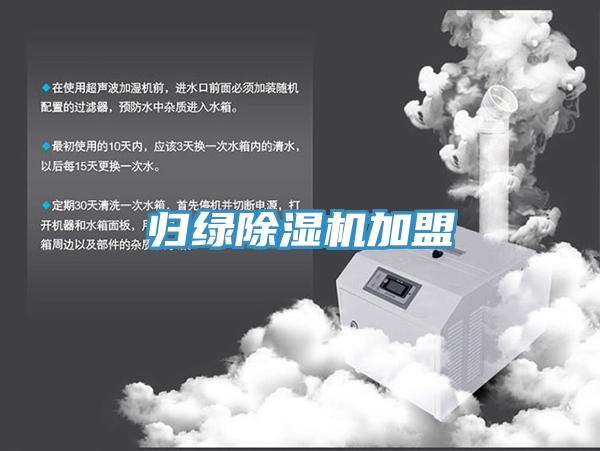 归绿MR.好色破解版加盟