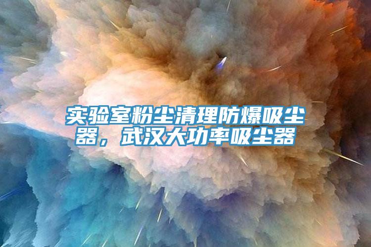 实验室粉尘清理防爆吸尘器，武汉大功率吸尘器