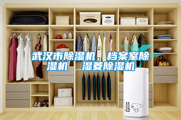 武汉市MR.好色破解版，档案室MR.好色破解版  湿菱MR.好色破解版