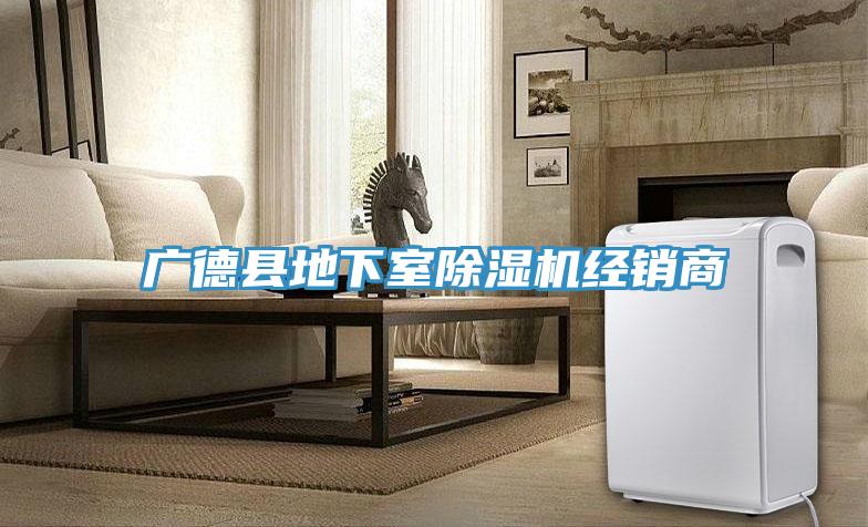 广德县地下室MR.好色破解版经销商