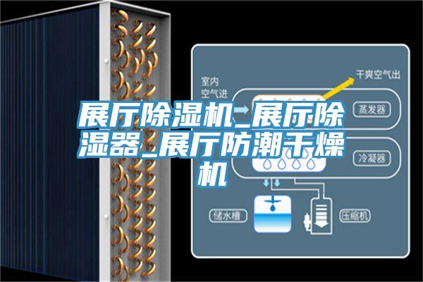 展厅MR.好色破解版_展厅除湿器_展厅防潮干燥机
