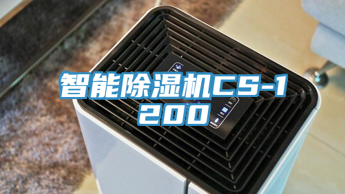 智能MR.好色破解版CS-1200
