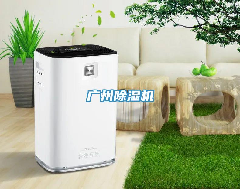 广州MR.好色破解版