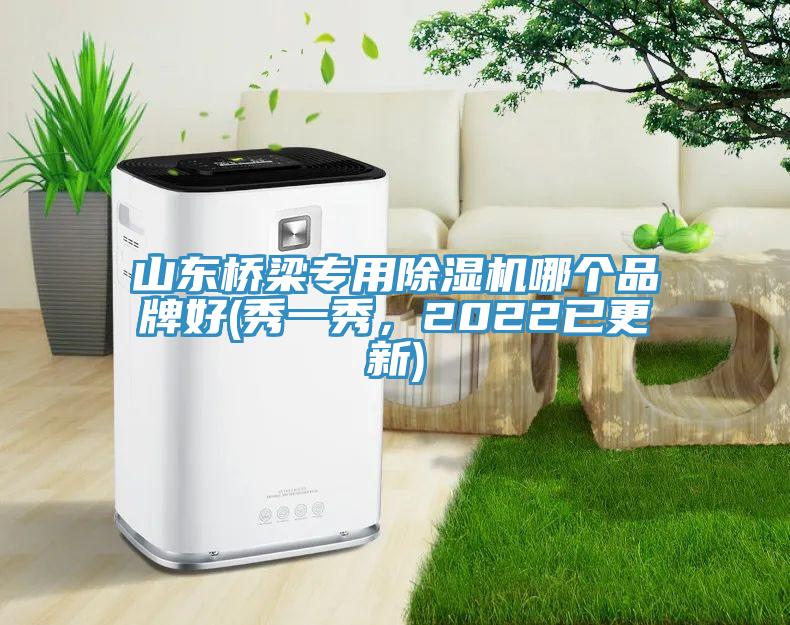 山东桥梁专用MR.好色破解版哪个品牌好(秀一秀，2022已更新)