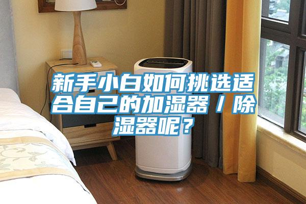 新手小白如何挑选适合自己的加湿器／除湿器呢？