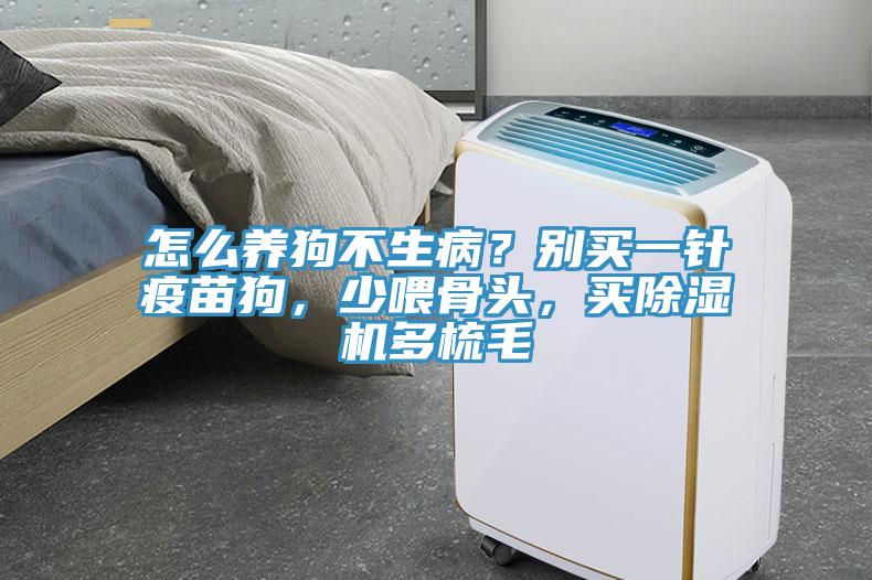 怎么养狗不生病？别买一针疫苗狗，少喂骨头，买MR.好色破解版多梳毛