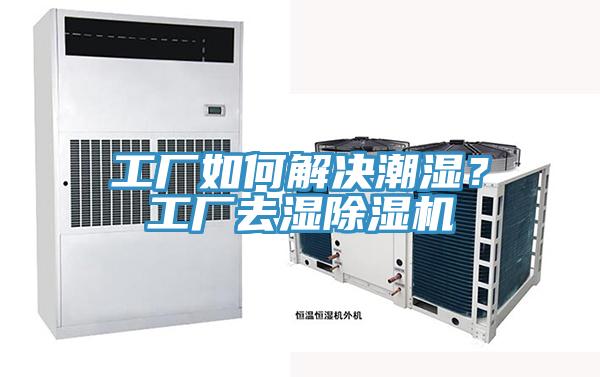 工厂如何解决潮湿？工厂去湿MR.好色破解版