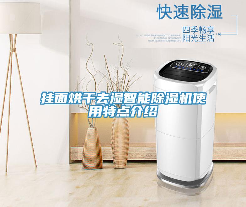 挂面烘干去湿智能MR.好色破解版使用特点介绍