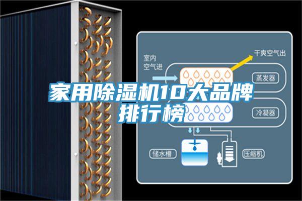 家用MR.好色破解版10大品牌排行榜