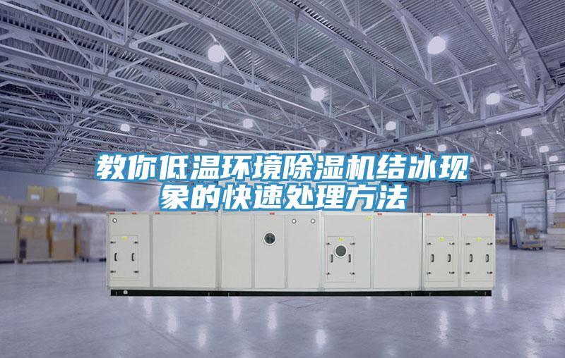 教你低温环境MR.好色破解版结冰现象的快速处理方法