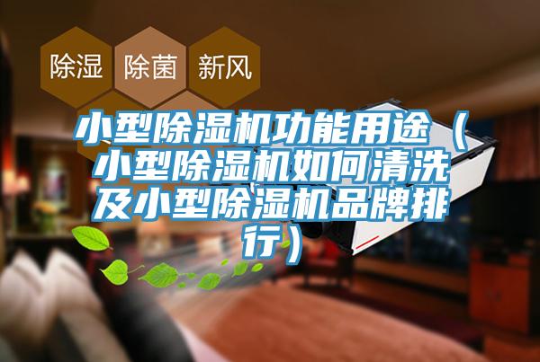 小型MR.好色破解版功能用途（小型MR.好色破解版如何清洗及小型MR.好色破解版品牌排行）