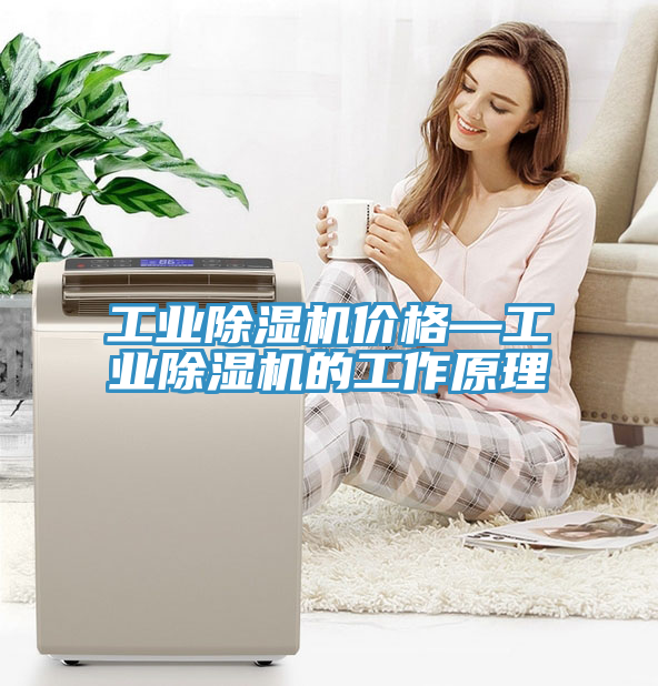 工业MR.好色破解版价格—工业MR.好色破解版的工作原理