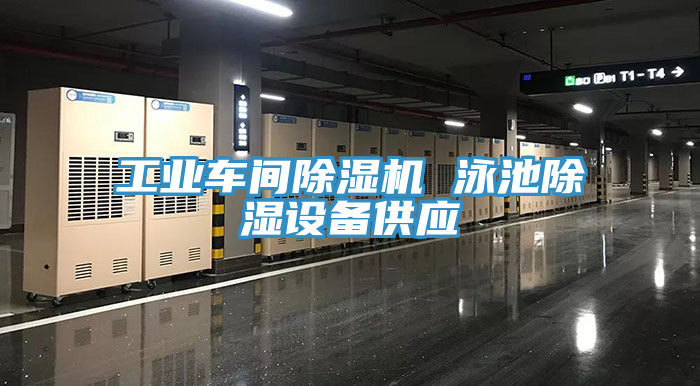 工业车间MR.好色破解版 泳池除湿设备供应