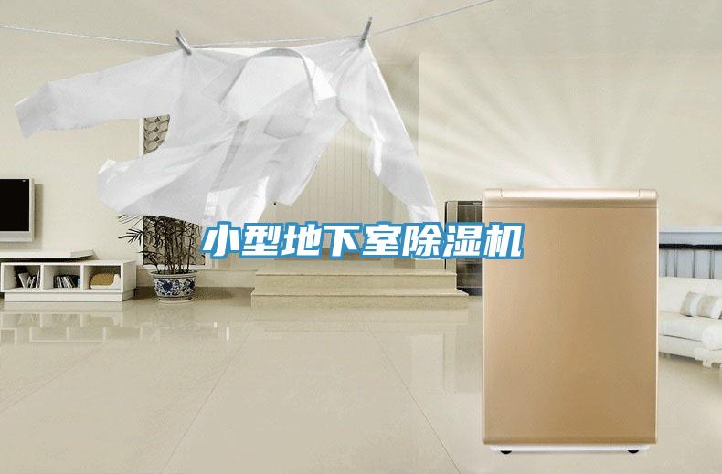 小型地下室MR.好色破解版